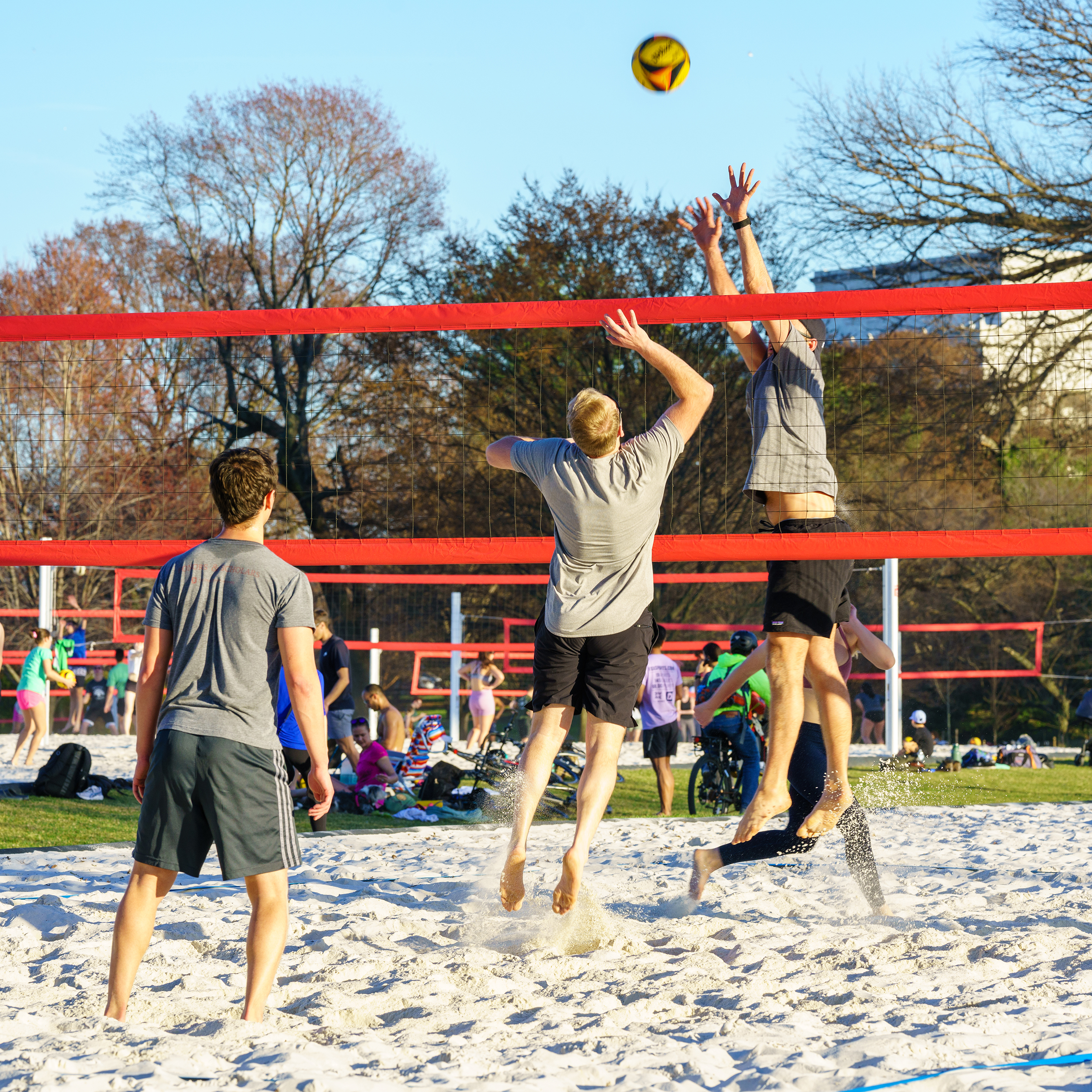 Volleyball DC